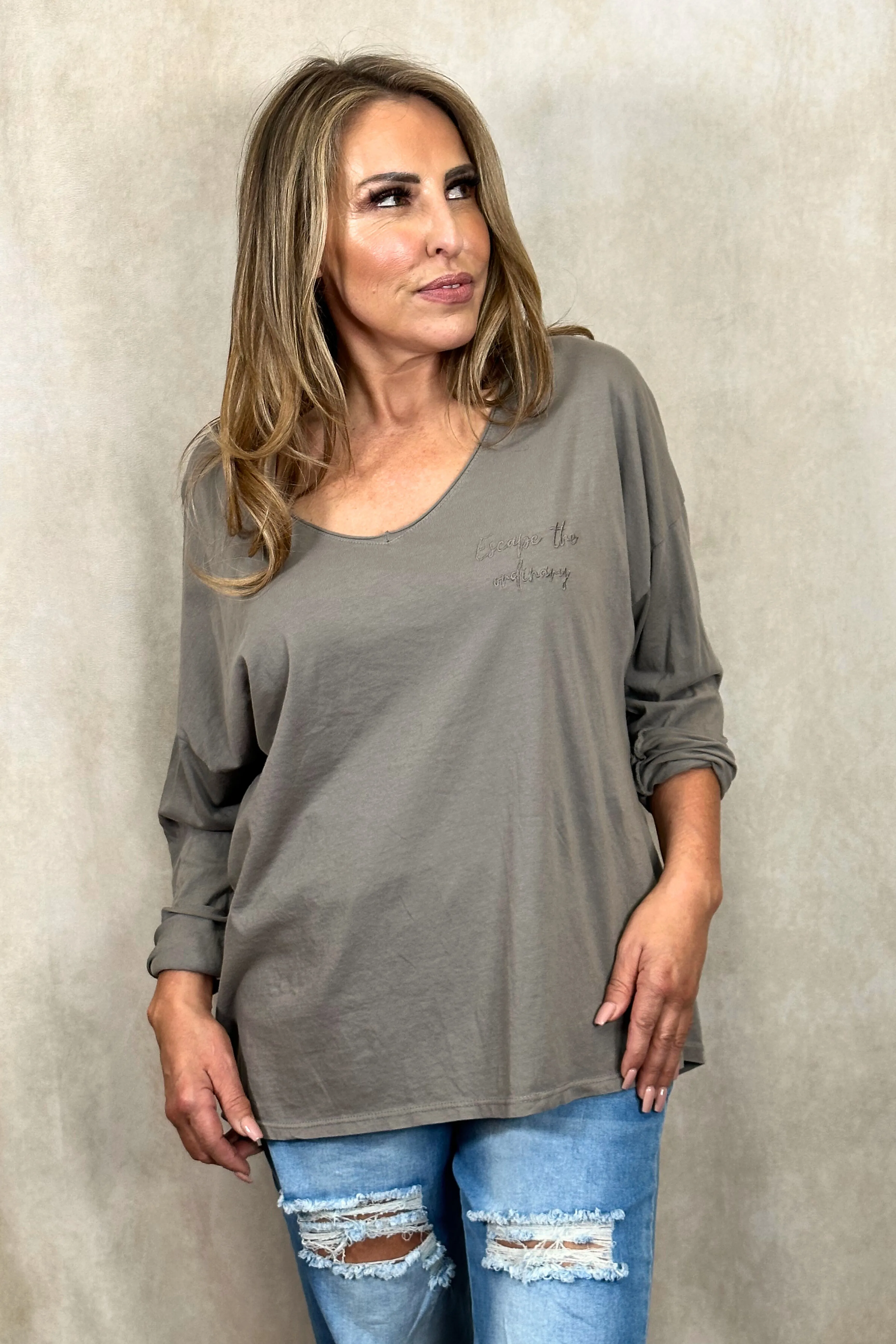 Casual Long Sleeve V-Neck Top